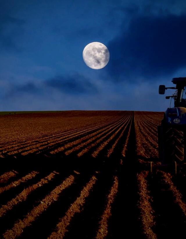 Luz de luna